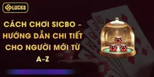 Cách Chơi Sicbo – Hướng Dẫn Chi Tiết Cho Người Mới Từ A–Z