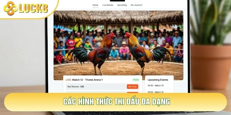 Các hình thức thi đấu đa dạng