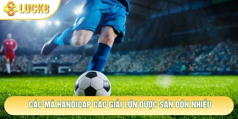 Các mã Handicap các giải lớn được săn đón nhiều