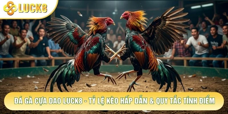 Đá Gà Cựa Dao Luck8 - Tỷ Lệ Kèo Hấp Dẫn & Quy Tắc Tính Điểm