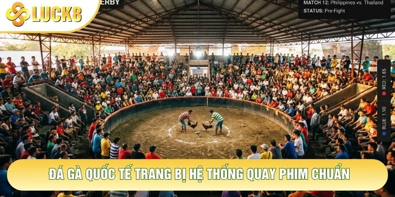 Đá gà quốc tế trang bị hệ thống quay phim chuẩn