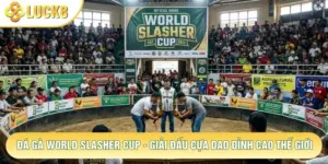 Đá Gà World Slasher Cup - Giải Đấu Cựa Dao Đỉnh Cao Thế Giới