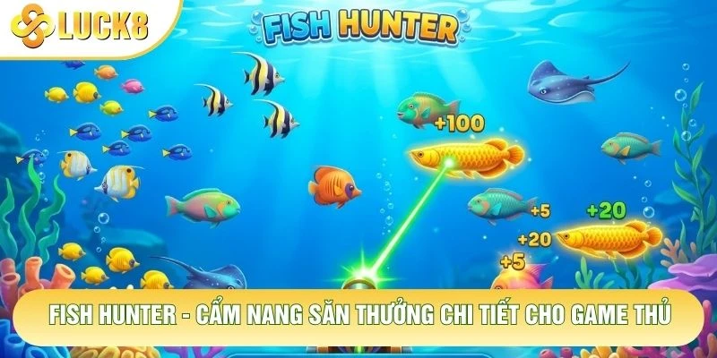 Fish Hunter - Cẩm Nang Săn Thưởng Chi Tiết Cho Game Thủ