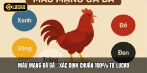 Màu Mạng Đá Gà - Xác Định Chuẩn 100% Từ Luck8