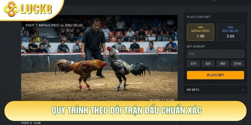 Quy trình theo dõi trận đấu chuẩn xác